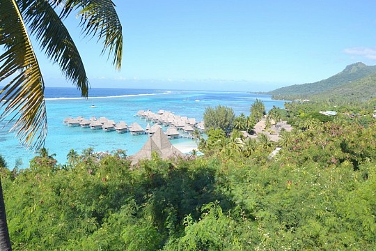Moorea, Raiatea, Tahiti (4)