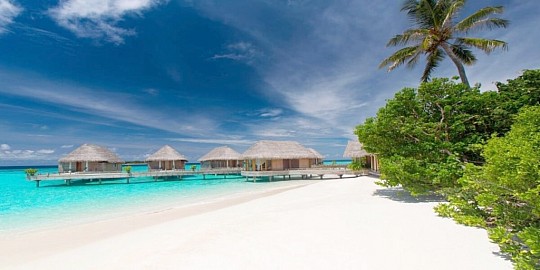 Milaidhoo Island Maldives (3)
