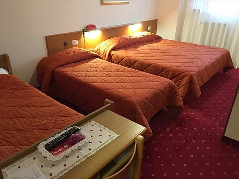 Hotel Stella Alpina v Bellamonte di Predazzo (3)