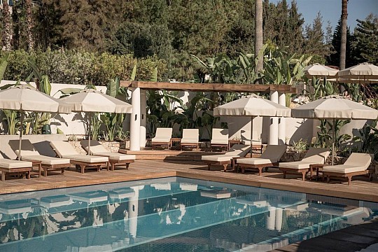 Adalya Bliss (ex. Adalya Resort) (4)