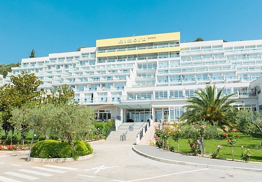 Hotel Mimosa Lido Palace (3)