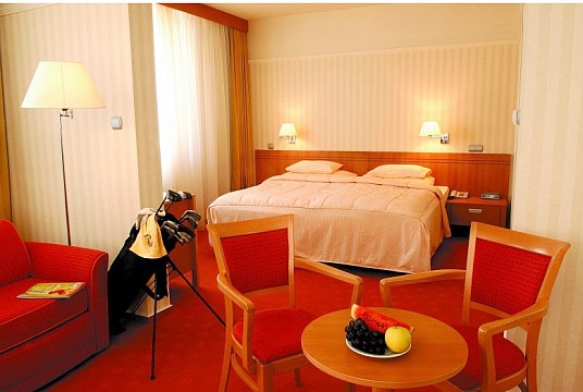 Ensana Health Spa Hotel Palace (5)