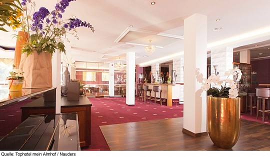 Tophotel mein Almhof (4)