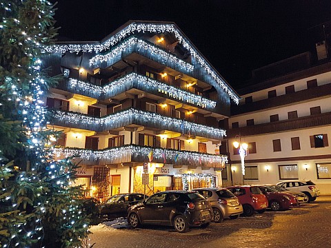 Hotel Alle Alpi (5)