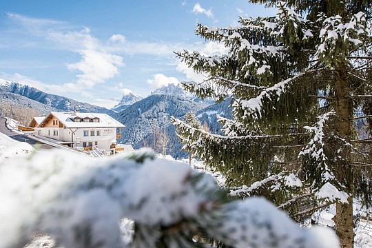 Mountain residence Alpenhof ***
