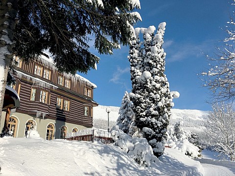 Alpský Hotel