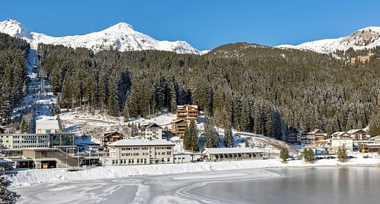 Aves Homebase Arosa (3)