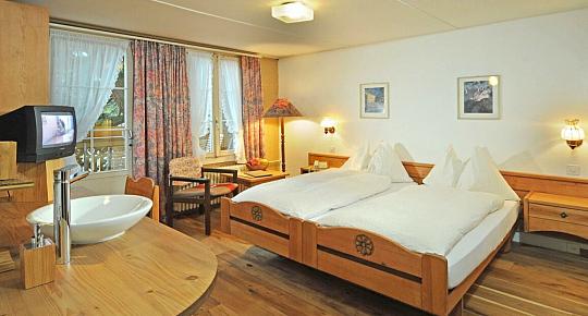 Hotel Alpenblick (3)