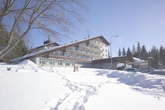 HOTEL SRNÍ (3)