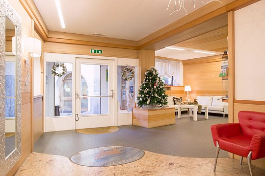 Hotel Al Cervo (4)